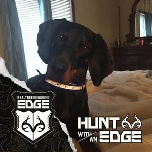 Meet your Posher, Sandy